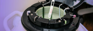 Demystifying IUI, ICI, IVI and IVF