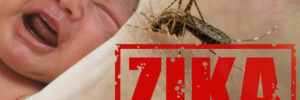 keeping zika out of sperm supply