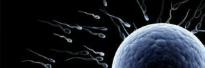benefits-of-reserving-enough-donor-sperm