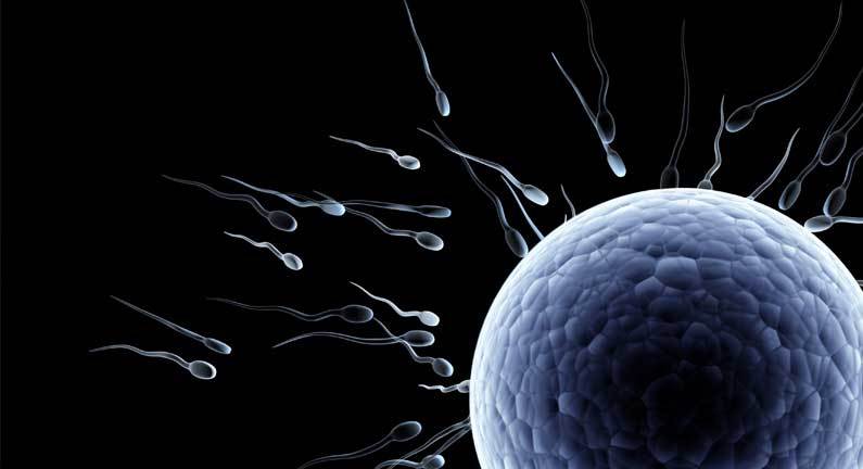 The Benefits of Reserving Enough Donor Sperm