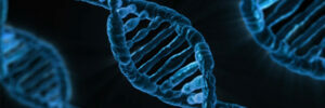 Genetic Testing of Sperm Donors