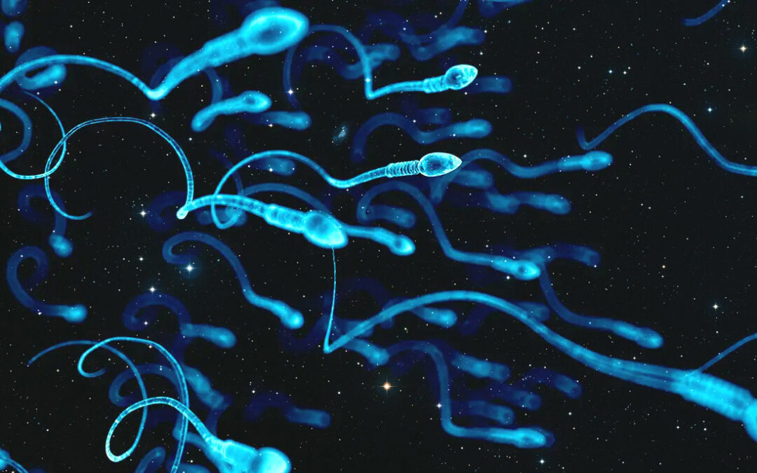 To Fertility and Beyond: Storing Sperm in Space May Be Possible
