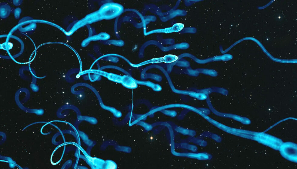 To Fertility and Beyond Storing Sperm in Space May Be Possible