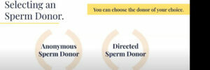 KindBody: Family Building for the LGBTQ Community with Seattle Sperm Bank