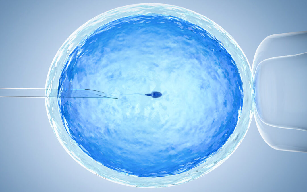 How is Donor Sperm Used for Insemination?