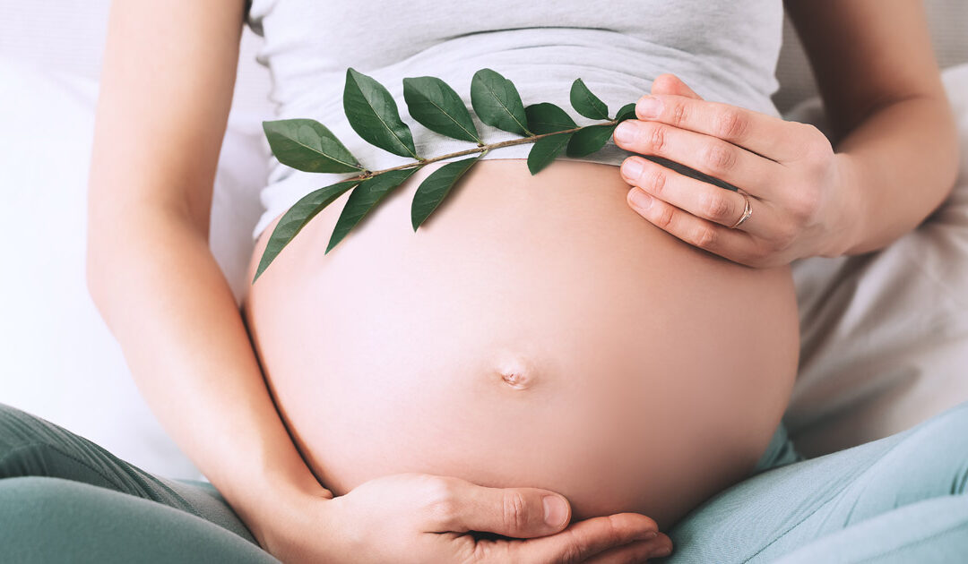 Natural Ways To Increase Fertility