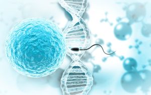When Biology Meets Bureaucracy: Why U.S. Sperm Donor Regulation Is (Finally) Changing
