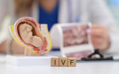 Embryo Development During IVF: A Day-by-Day Guide