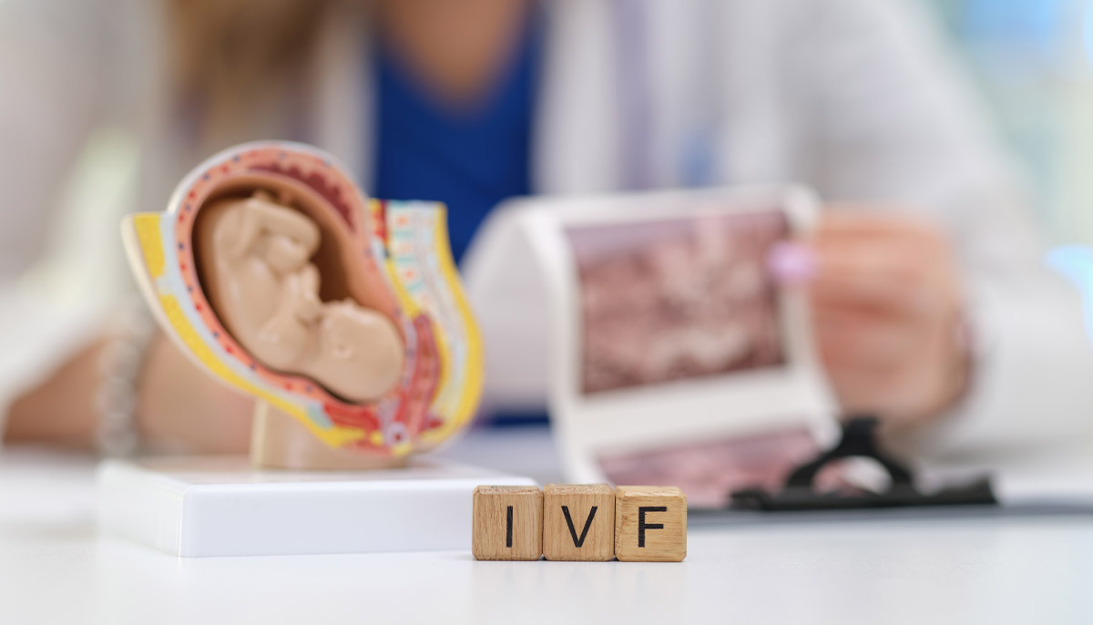 Embryo Development During IVF: A Day-by-Day Guide